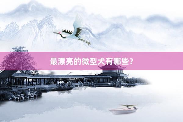 最漂亮的微型犬有哪些？