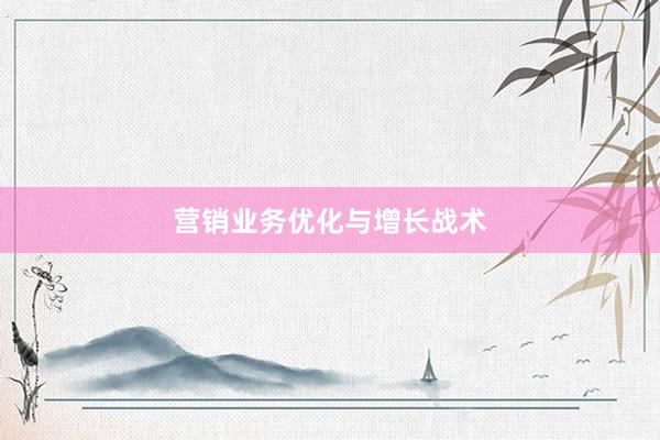 营销业务优化与增长战术